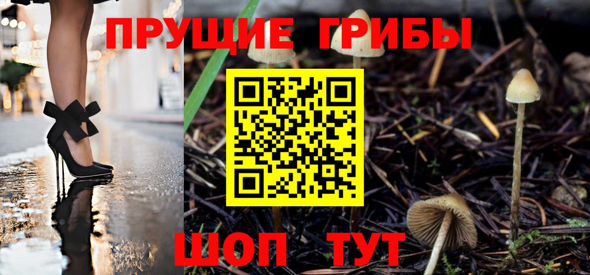 Псилоцибиновые грибы Psilocybe Магнитогорск
